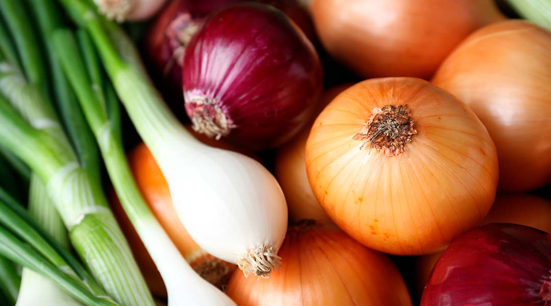 Consejos para elegir la cebolla según la receta