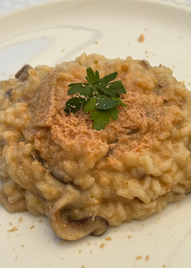 Emplatado para risotto de champiñones
