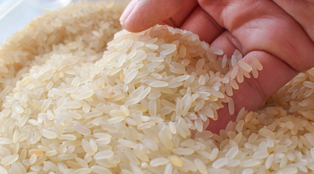 Cómo identificar si el arroz ha caducado