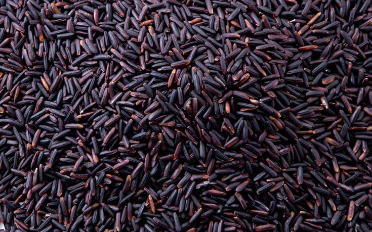 Arroz negro: descubre sus propiedades y beneficios únicos para tu salud