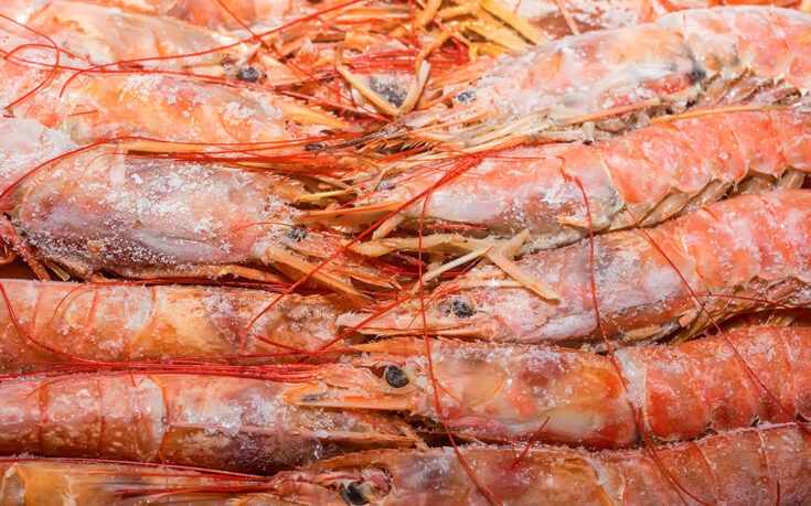 Aprende a cocer langostinos descongelados de manera perfecta