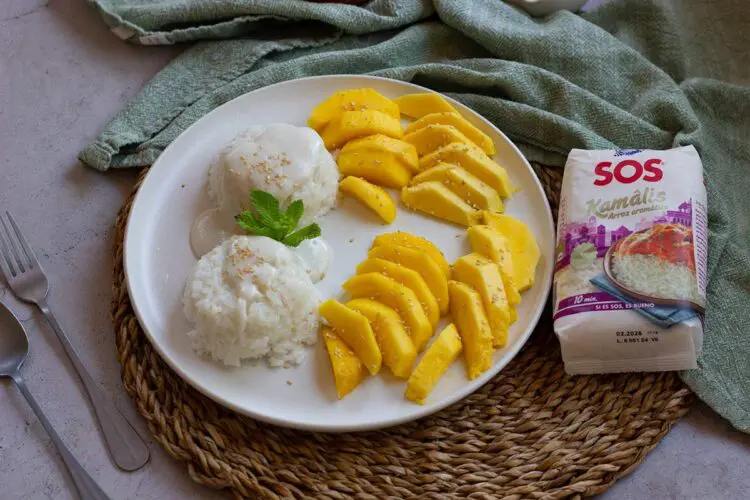 MANGO STICKE RICE