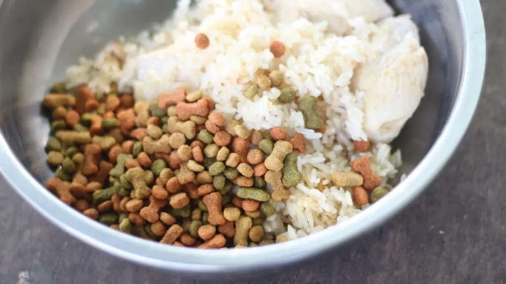 Beneficios del arroz en la alimentación canina
