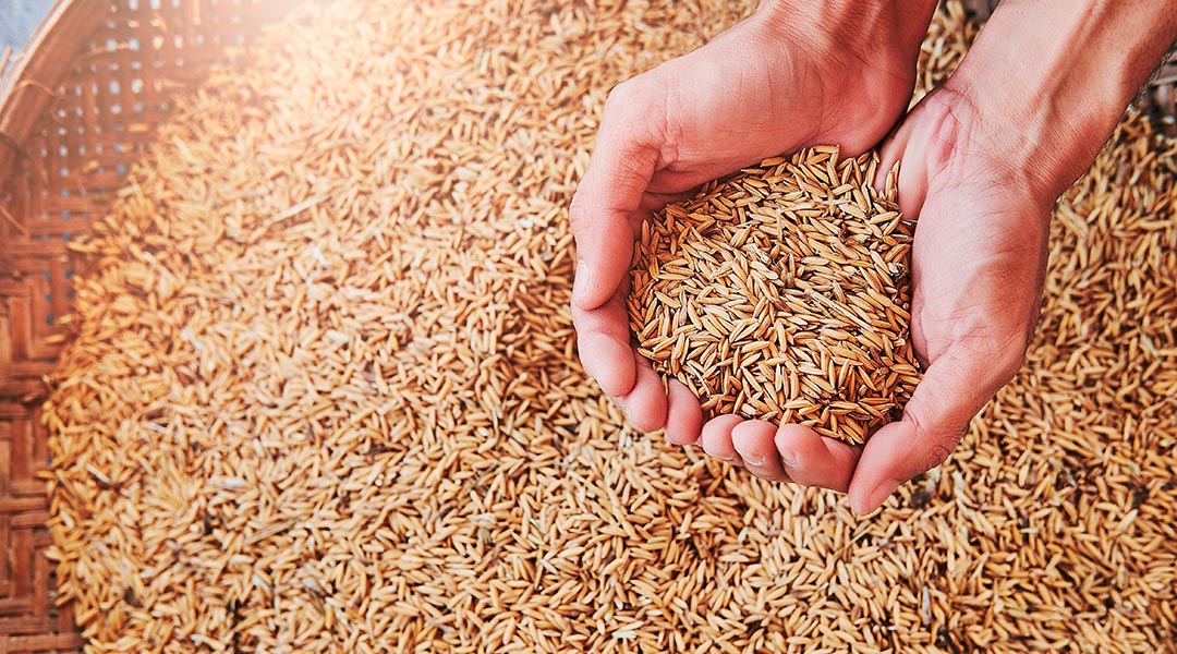 Beneficios del arroz integral