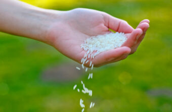 Descubre los valores nutricionales del arroz blanco: la guía definitiva para comer sano