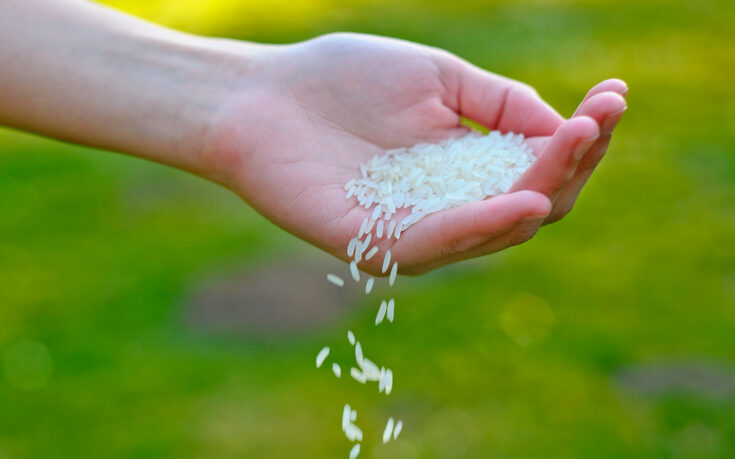 Descubre los valores nutricionales del arroz blanco: la guía definitiva para comer sano