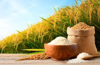 Diferencia entre arroz integral y arroz normal: ¿Cuál elegir para una dieta saludable?