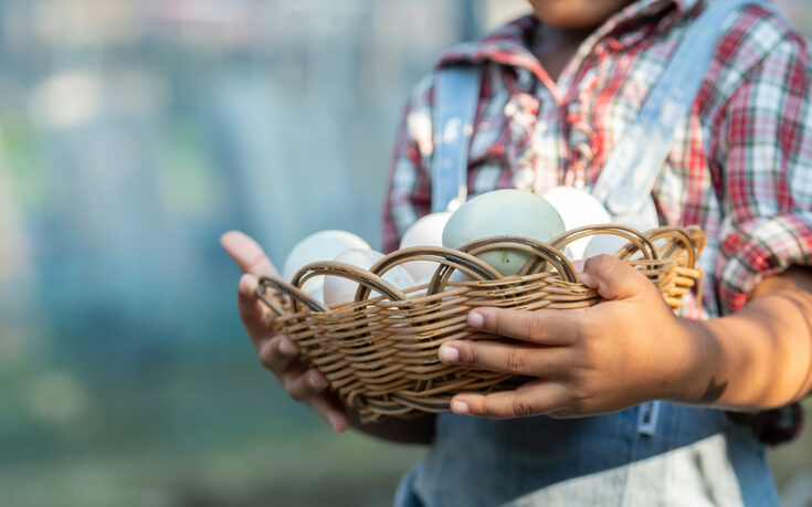 Descubre todo sobre los productos km 0 y sus beneficios para el medio ambiente