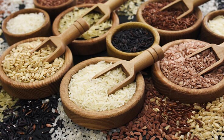 Tipos de arroz: descubre todas las variedades y sus usos en la cocina