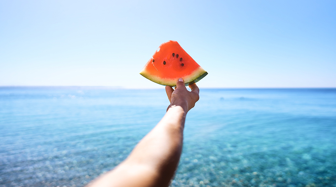 Consejos para mantener tu comida fresca