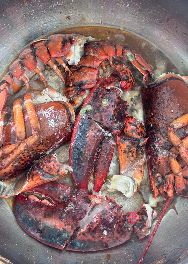 sellar bogavante para arroz caldoso de marisco