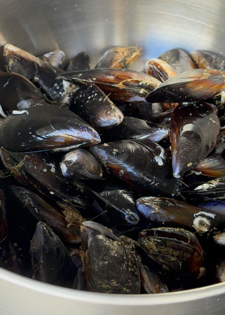 abrir mejillones para fideuá con mejillones 